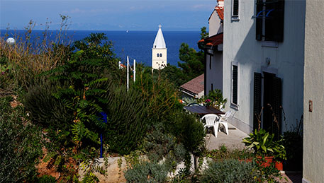 Accommodation - Apartments - Island Lošinj - Croatia