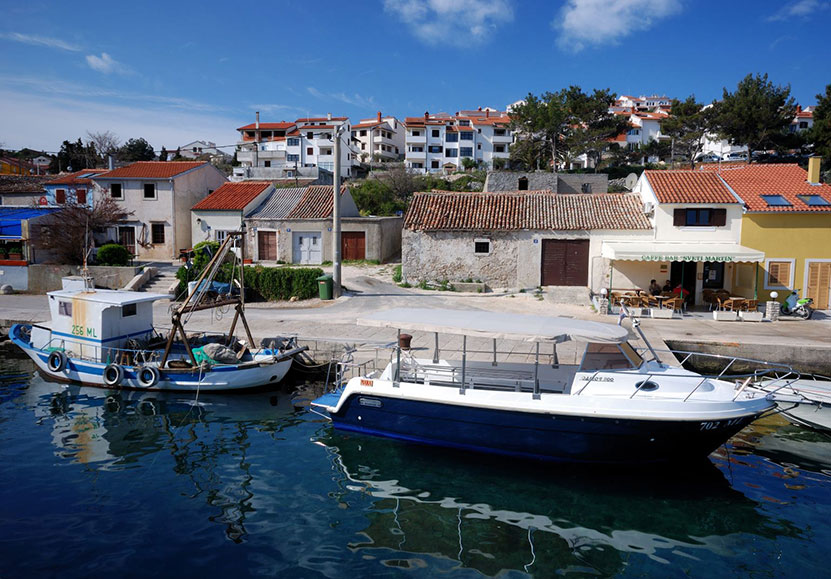 Alloggio - Appartamenti - L'isola di Lussino - Mali Lošinj - Unije - Croazia