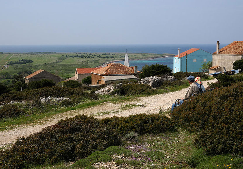 Alloggio - Appartamenti - L'isola di Lussino - Mali Lošinj - Unije - Croazia